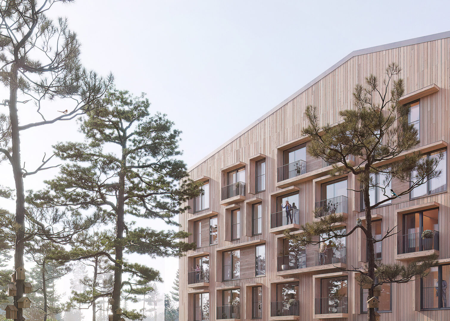 Zoomed in visualization of wooden facade and pine trees